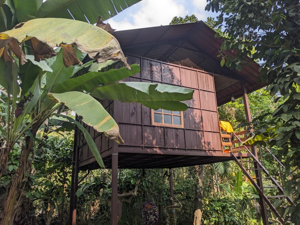 From Homeless to a Forested Stilt Home in Wayanad (Kerala)