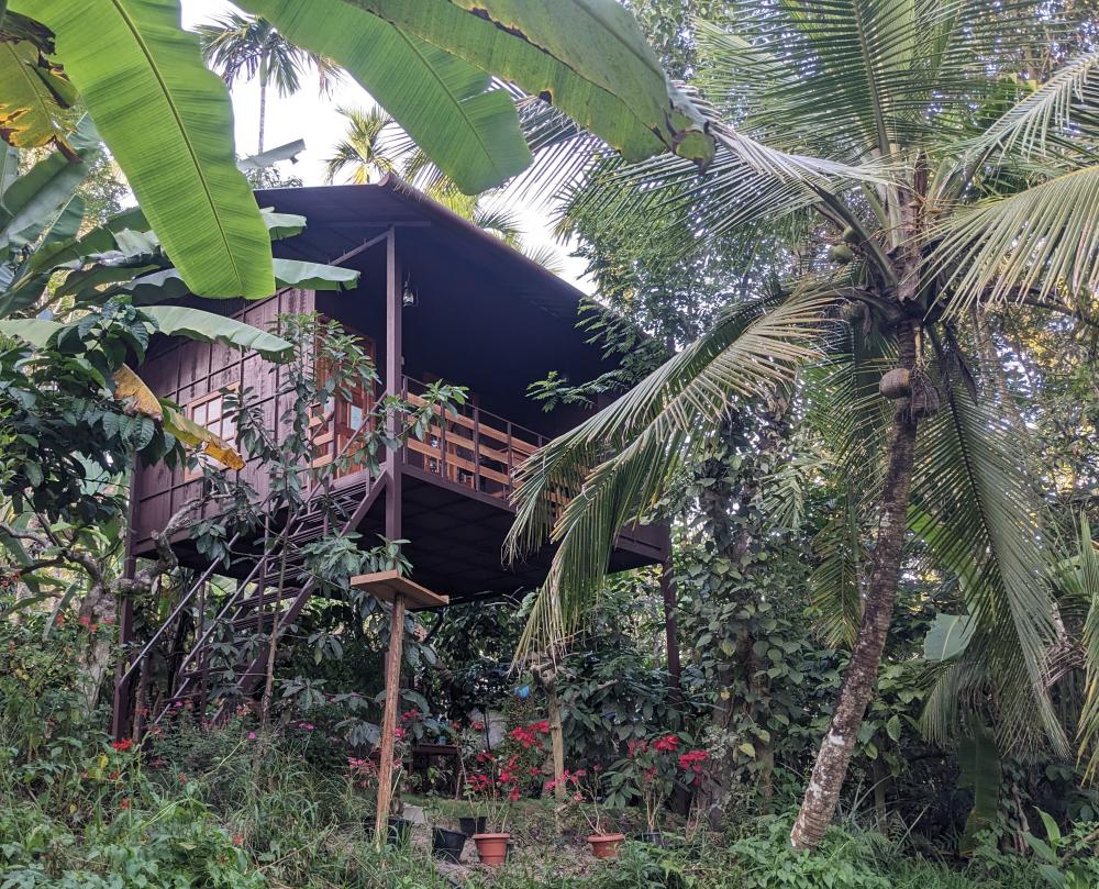 my stilt home in wayanad accommodation in wayanad kerala