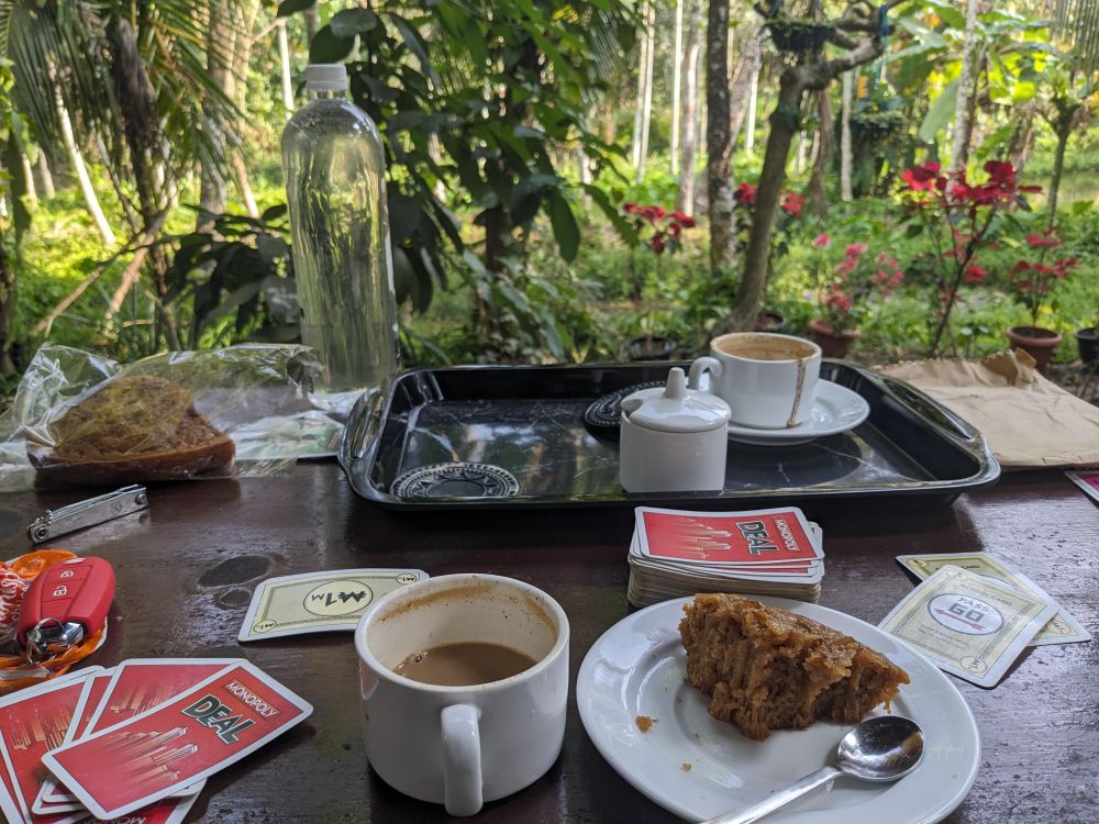 perhaps not the best photo but devouring coffee with cake and monopoly and garden