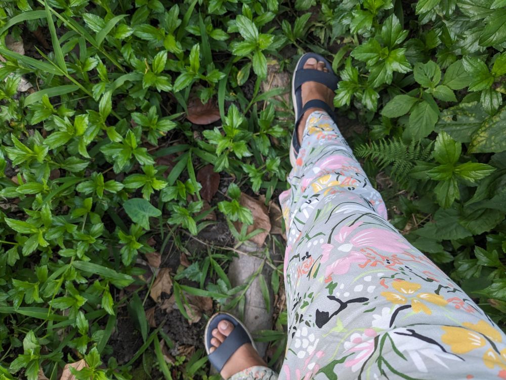 legs of the writer her feet on the green foliage