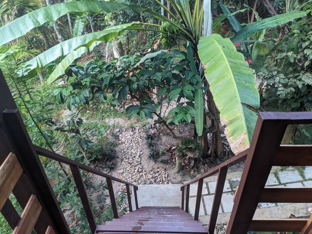 the view of a garden up from a hut with staircase seen