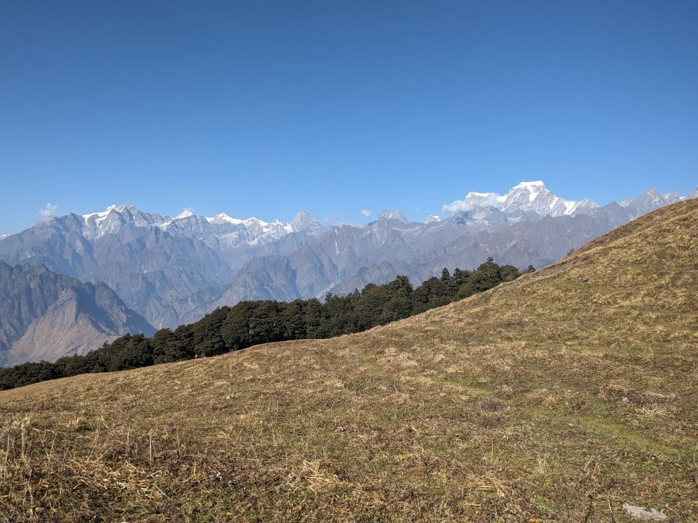 rolling pastures, cedar trees, and icy peaks in distance. mountain picture from the himalayas. india