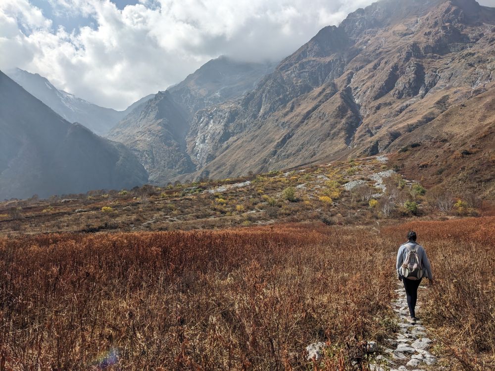 the author walking on a jungle path through copper pastures towards tall brown mountains. Uttarakhand, India. The Himalayas. 